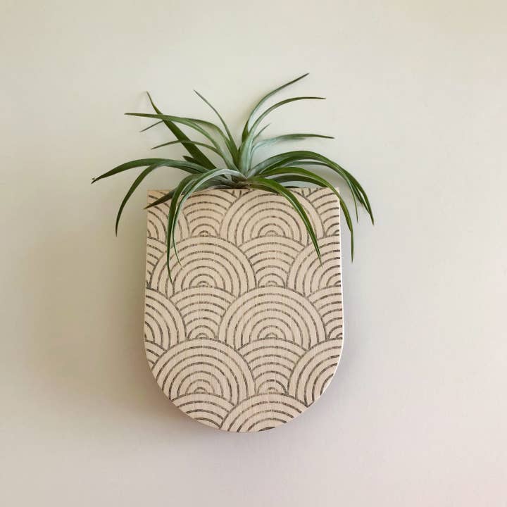 Stacy Wong - Wholesale Plantenbak voor aan de muur - Mod Curves kleine pocket wandplantenvaas1