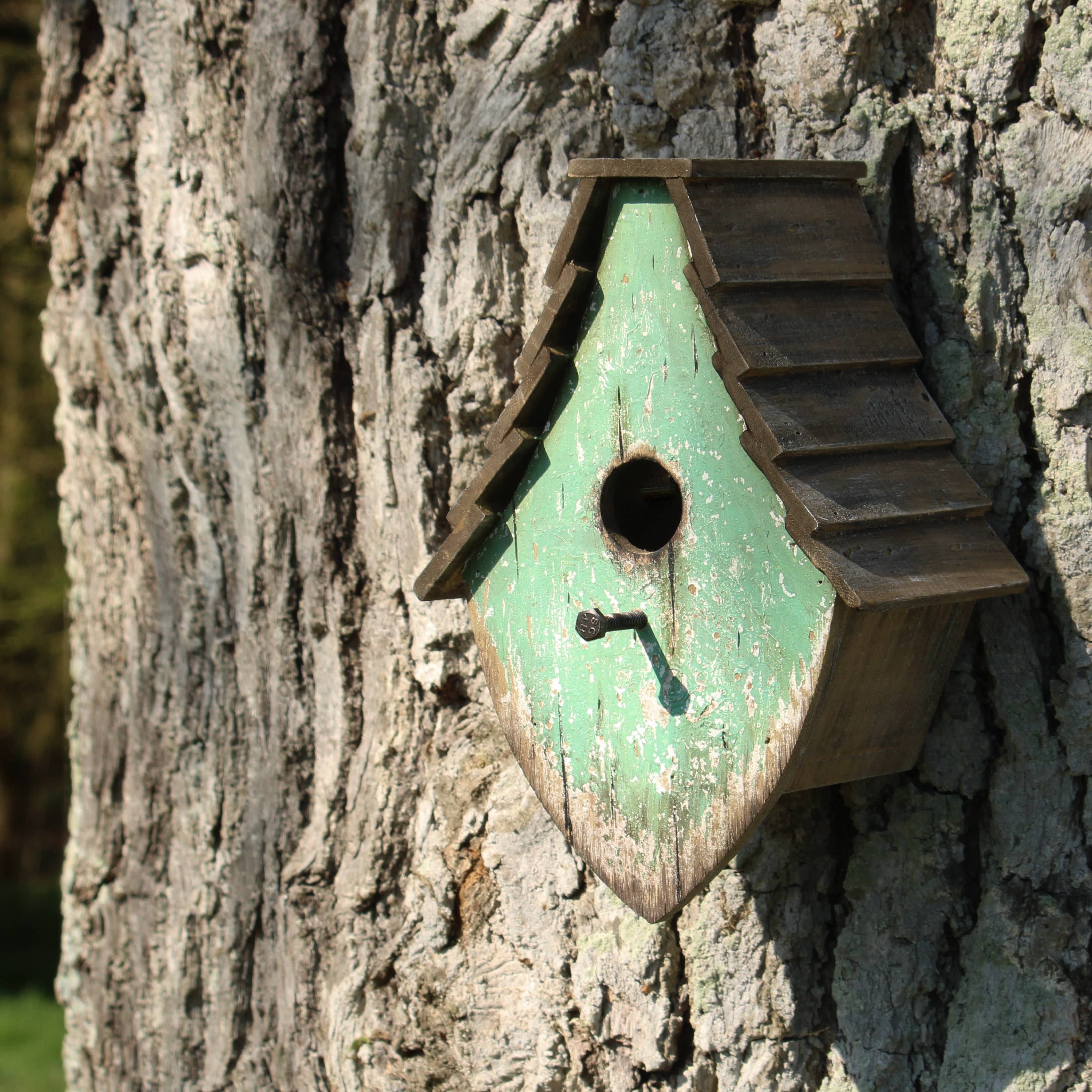 Originals International Ltd - Wholesale Bird House - Rustic Hand-Painted Wooden Bird house – Distressed Green3