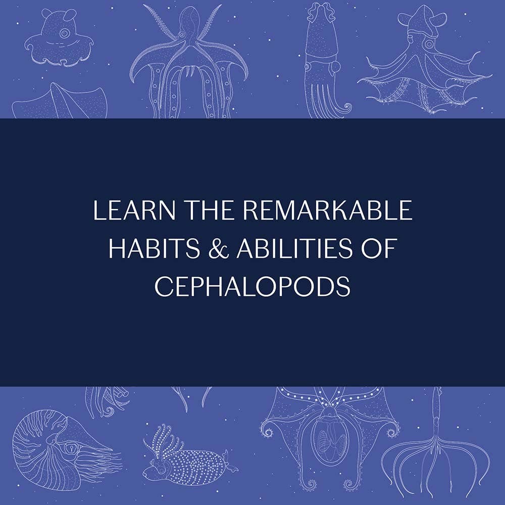 Chronicle Books - Wholesale Nature & Outdoors - Sea Wonders10