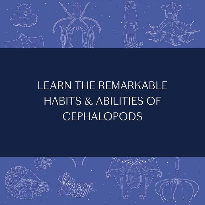 Chronicle Books - Wholesale Nature & Outdoors - Sea Wonders10