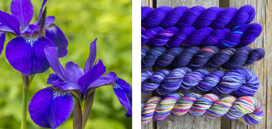 Koigu Wool Designs - Vente Fils à tricoter - Boîtes de Peinture de Fleurs Provinciales (ensembles de mini-écheveaux)26