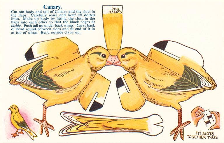 Found Image Press - Wholesale Magnet - Magnet BD-151 Cutout of Canary0