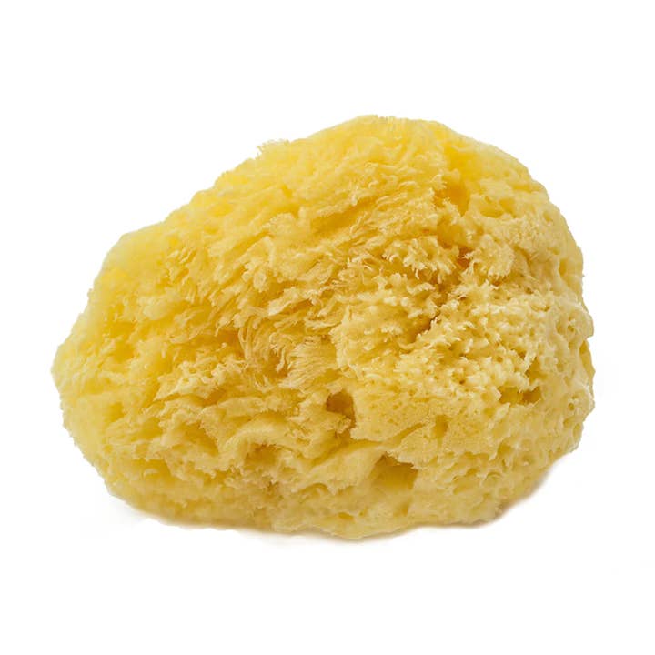 Soapology - Wholesale Bath Pouf/Sponge - Yellow Sea Sponge (Med)