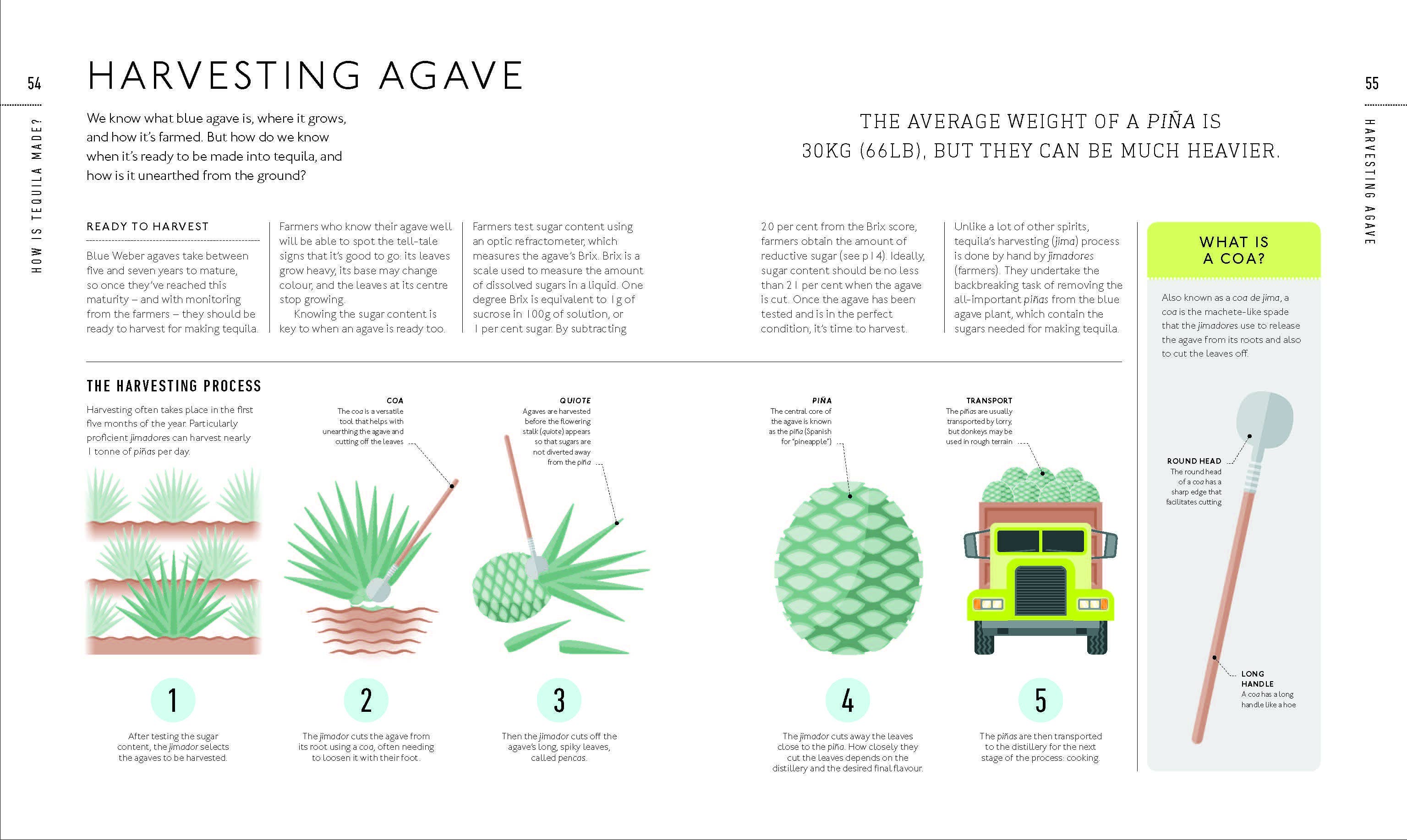 Penguin Random House LLC - Wholesale Mixology & Beverage - Tequila Tasting Course3