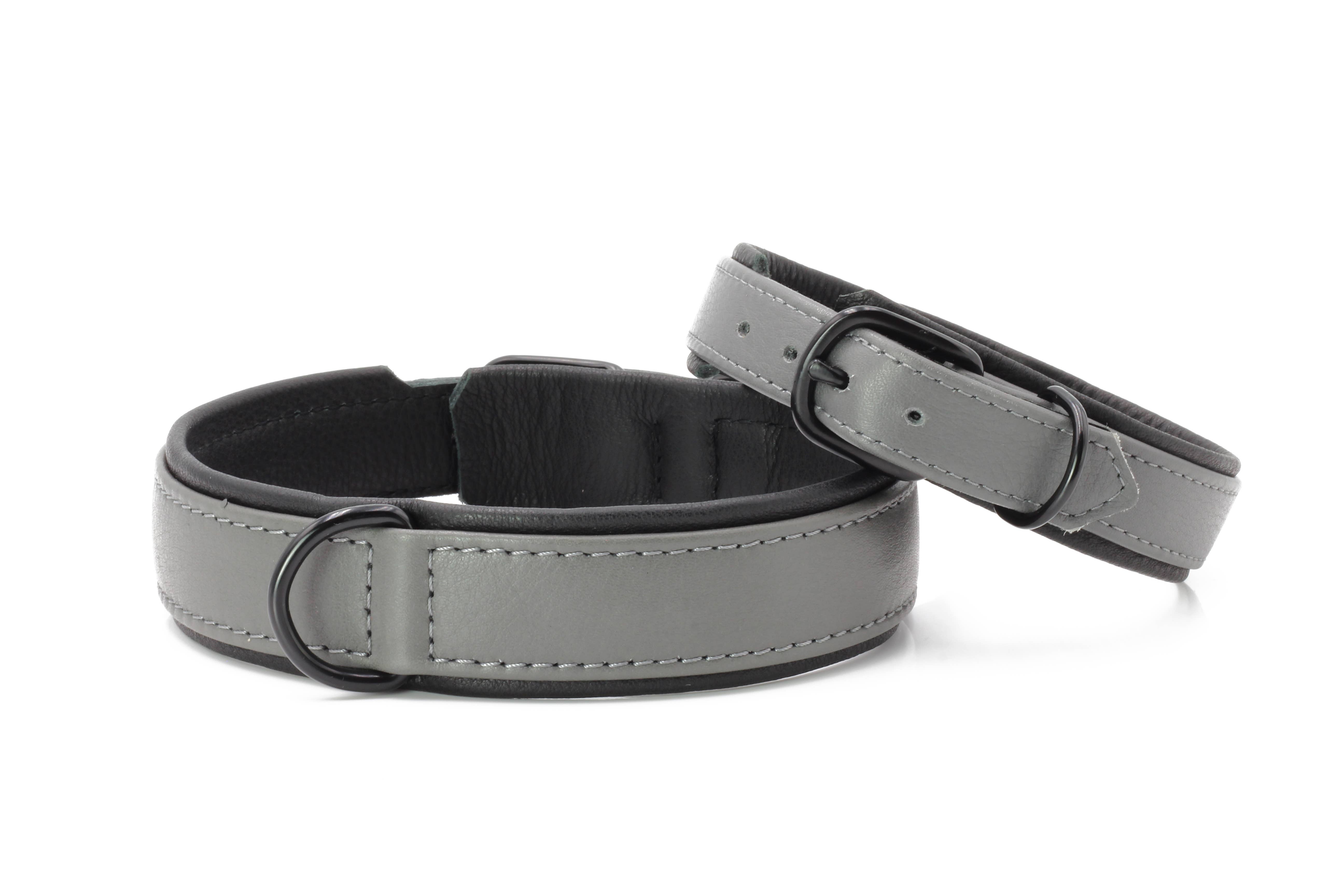 LABONI - Volentis GmbH - Wholesale Pet Collar - Dog - AMICI dog collar37