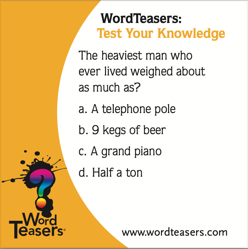 WordTeasers - Wholesale Card Game - Test Your Knowledge1
