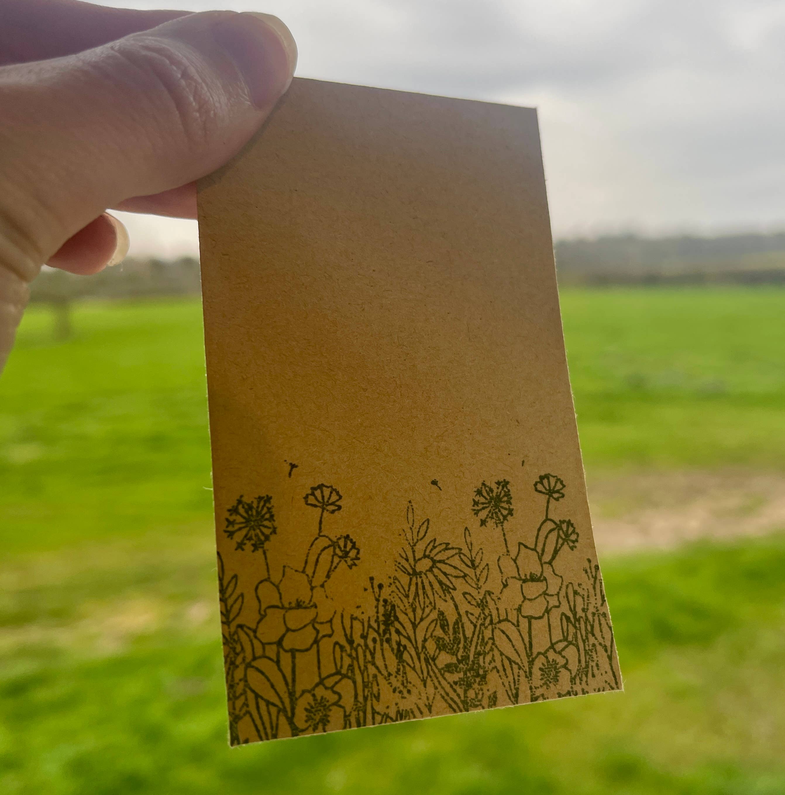 The Eco News Ltd - Wholesale Plant Seeds - Wildflower Seed Packets - Seed Envelopes4