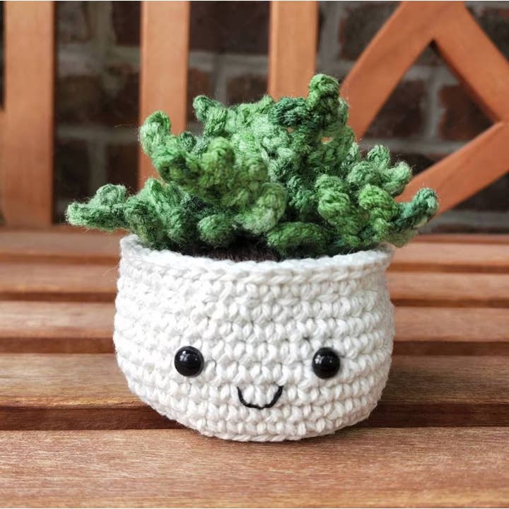 TOMOPOD LLC - Wholesale Decorative Tabletop Object - Crochet Succulent Plant, Houseplant Decor, Plant Lover Gift
