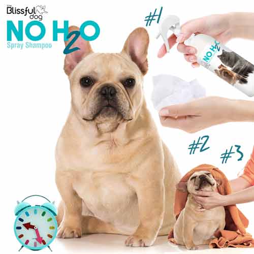 Wholesale No H2O Spray Dog Shampoo You Don't Get Wet! for your