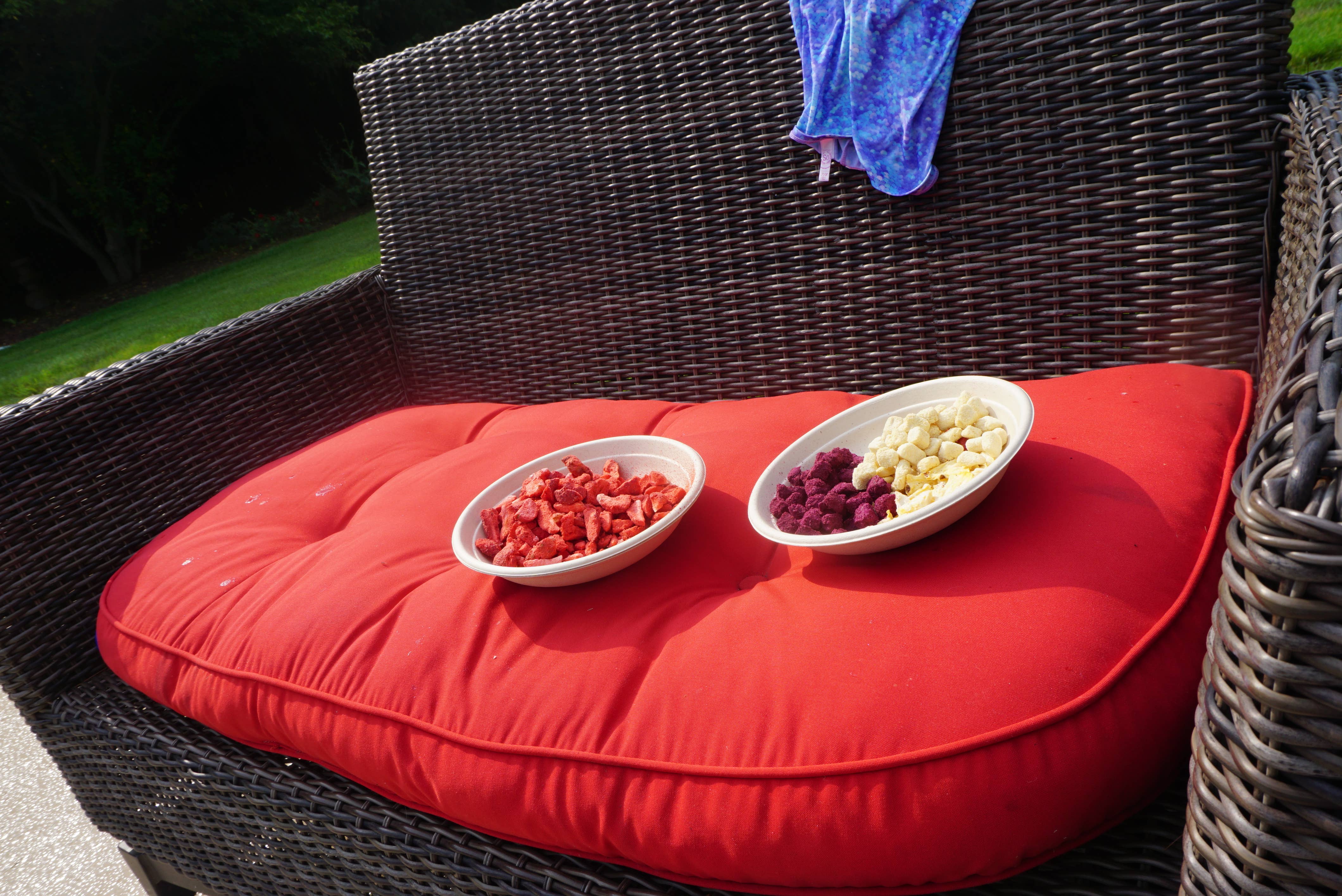 Indus Farms Superfoods - Wholesale Dried/Dehydrated Fruit - 100% Pure Freeze Dried White Guava, GMO-Free, Paleo, Vegan12