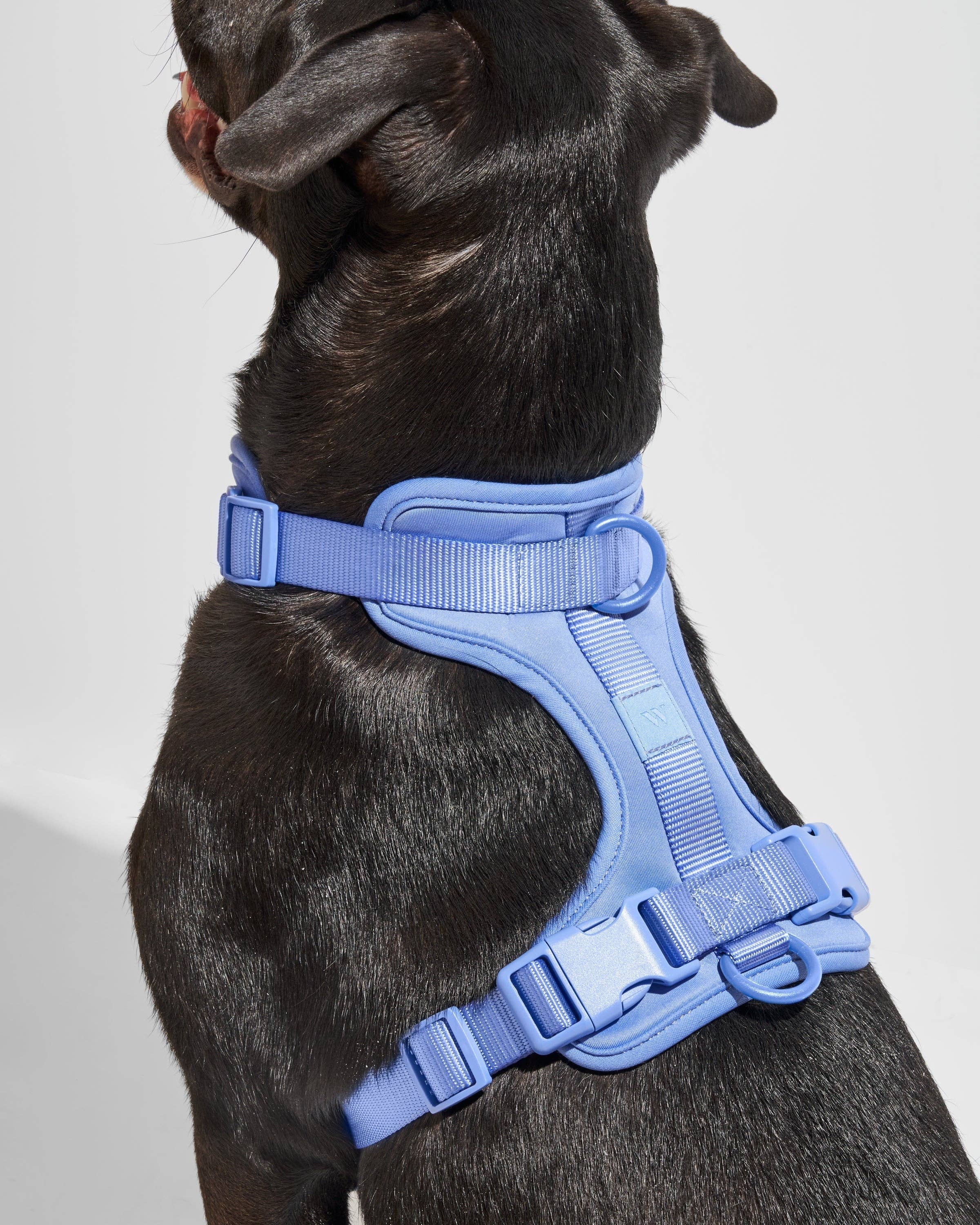Wild One - Wholesale Pet Harness - Dog - Harness7