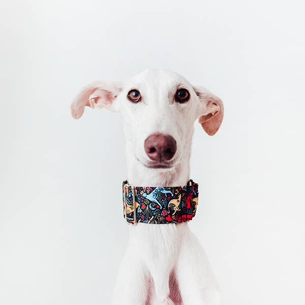 REMOVED BRAND - Wholesale Halsband - Hond - Martingale halsketting - Kind of Magic1