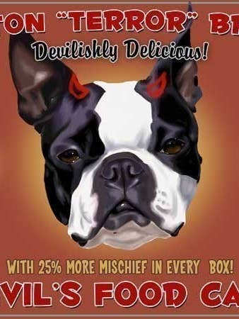 Decoración de cocina de Boston Terrier Devil's Food Cake para venta al por mayor de Brian Rubenacker studios
