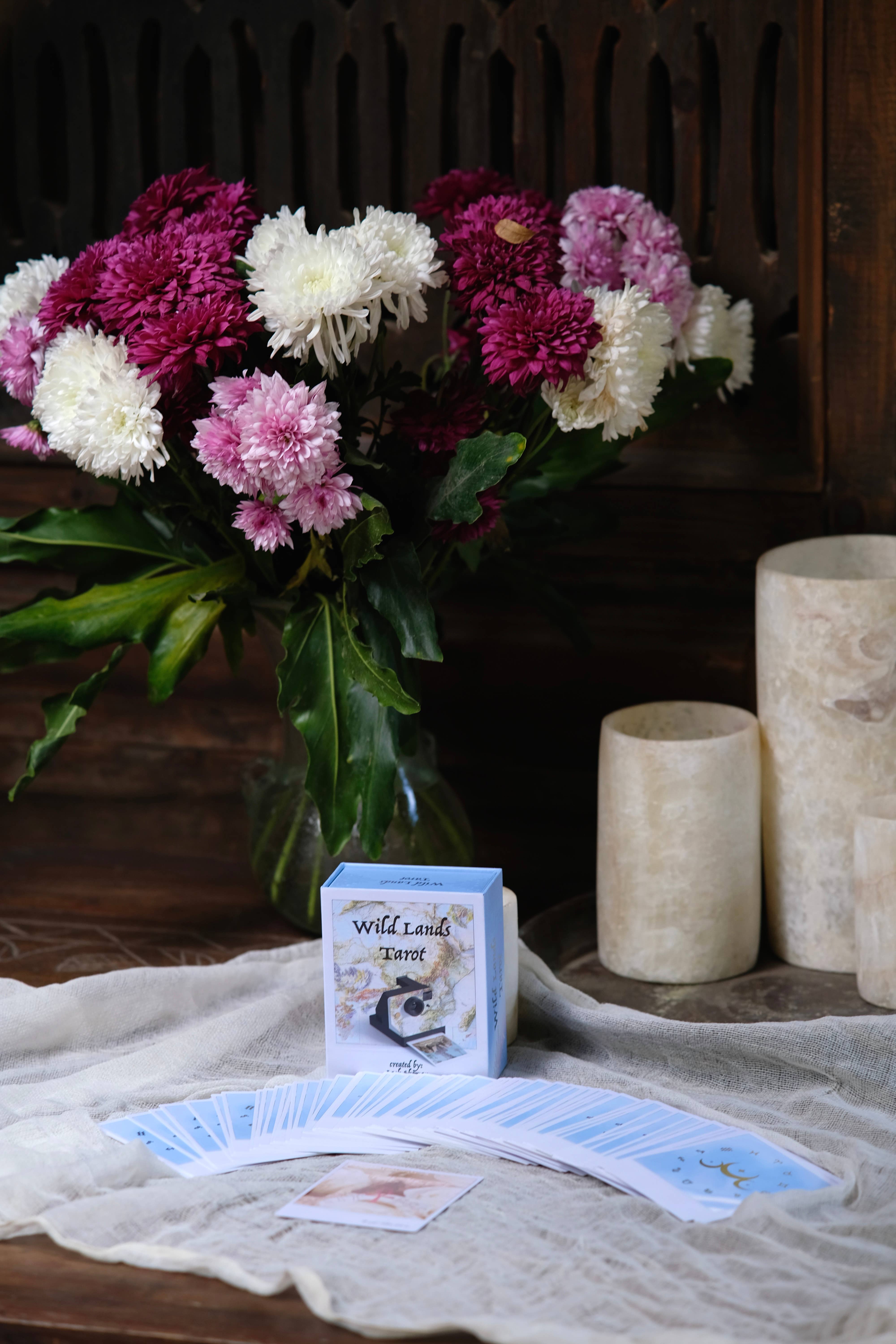 REMOVED BRAND - Wholesale Tarot Cards - Wild Lands Tarot6