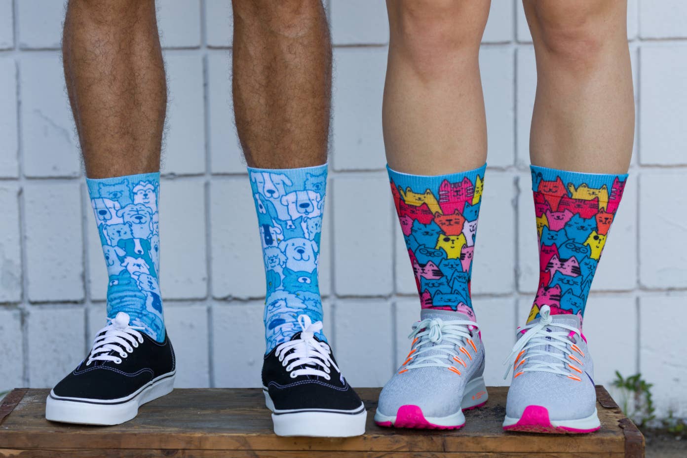 DivvyUp - Venta al por mayor Calcetines - Unisex - Calcetines de razas de perros3