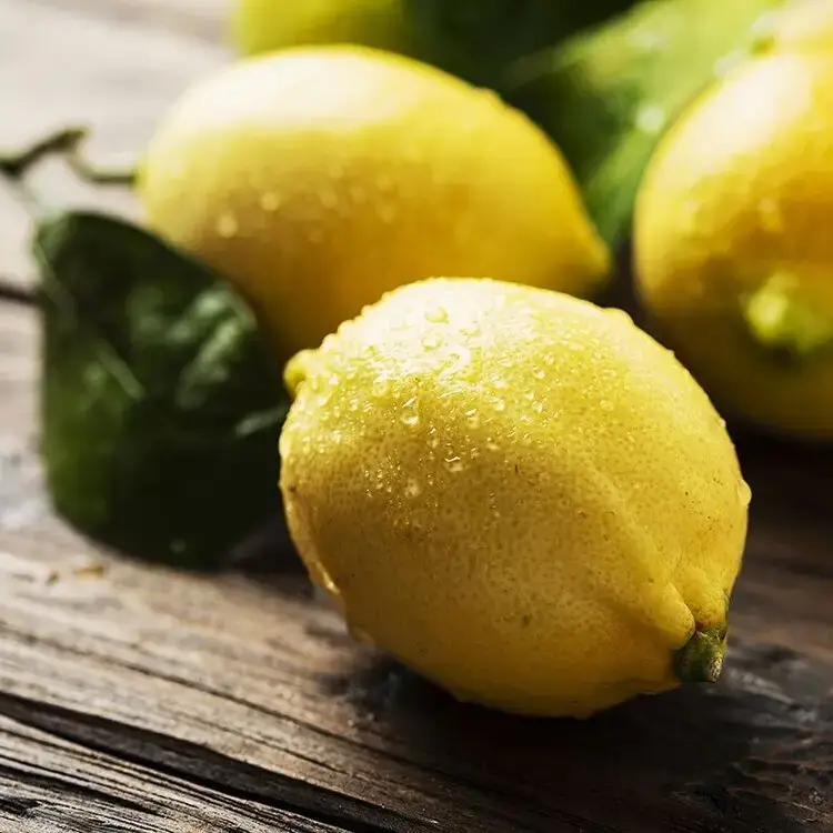 Bio Orto Società Cooperativa Agricola - Wholesale Olive Oil - Organic lemon aromatic - 100ml1