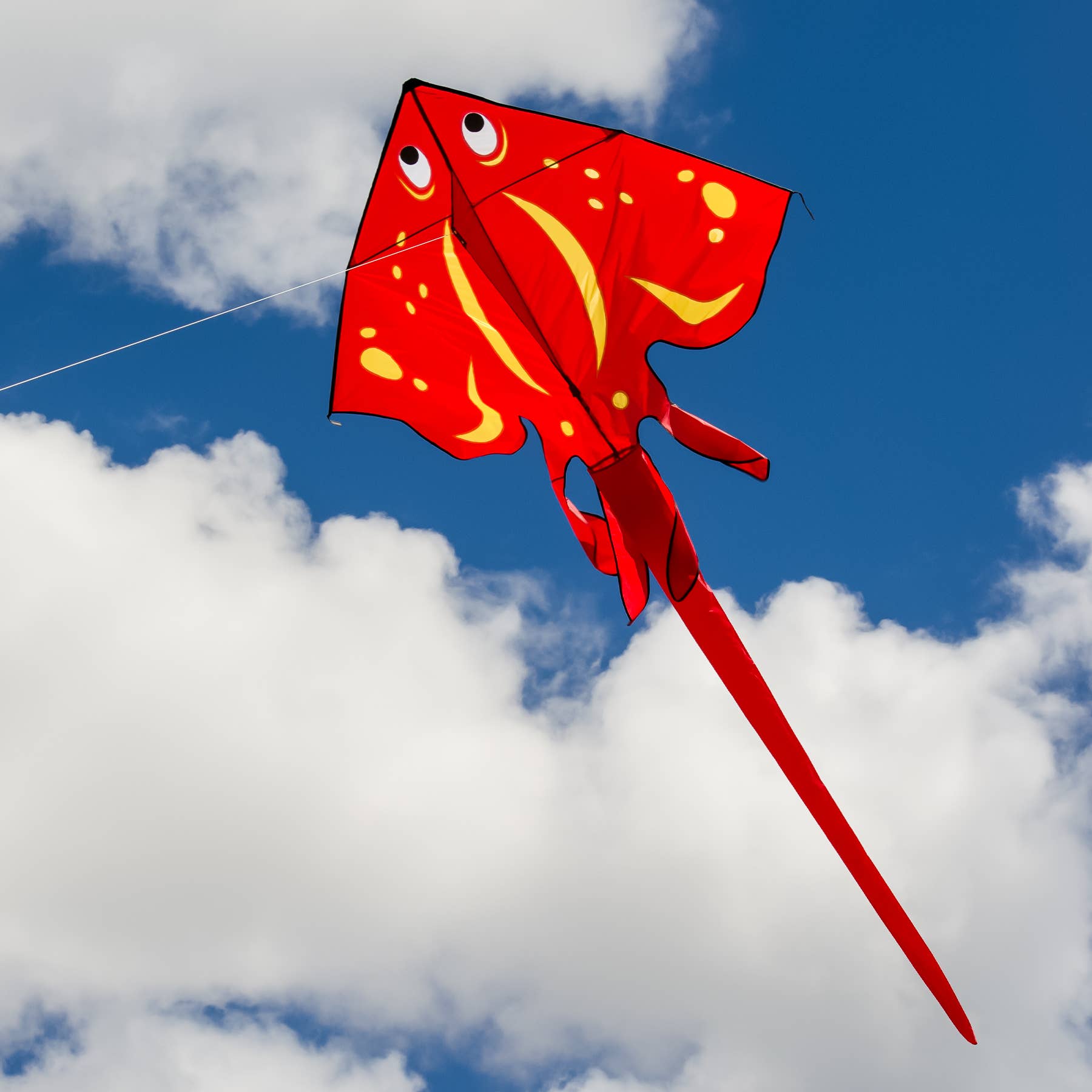 In the Breeze, LLC. - Vente Cerf-volant - Cerf-volant raie rouge2