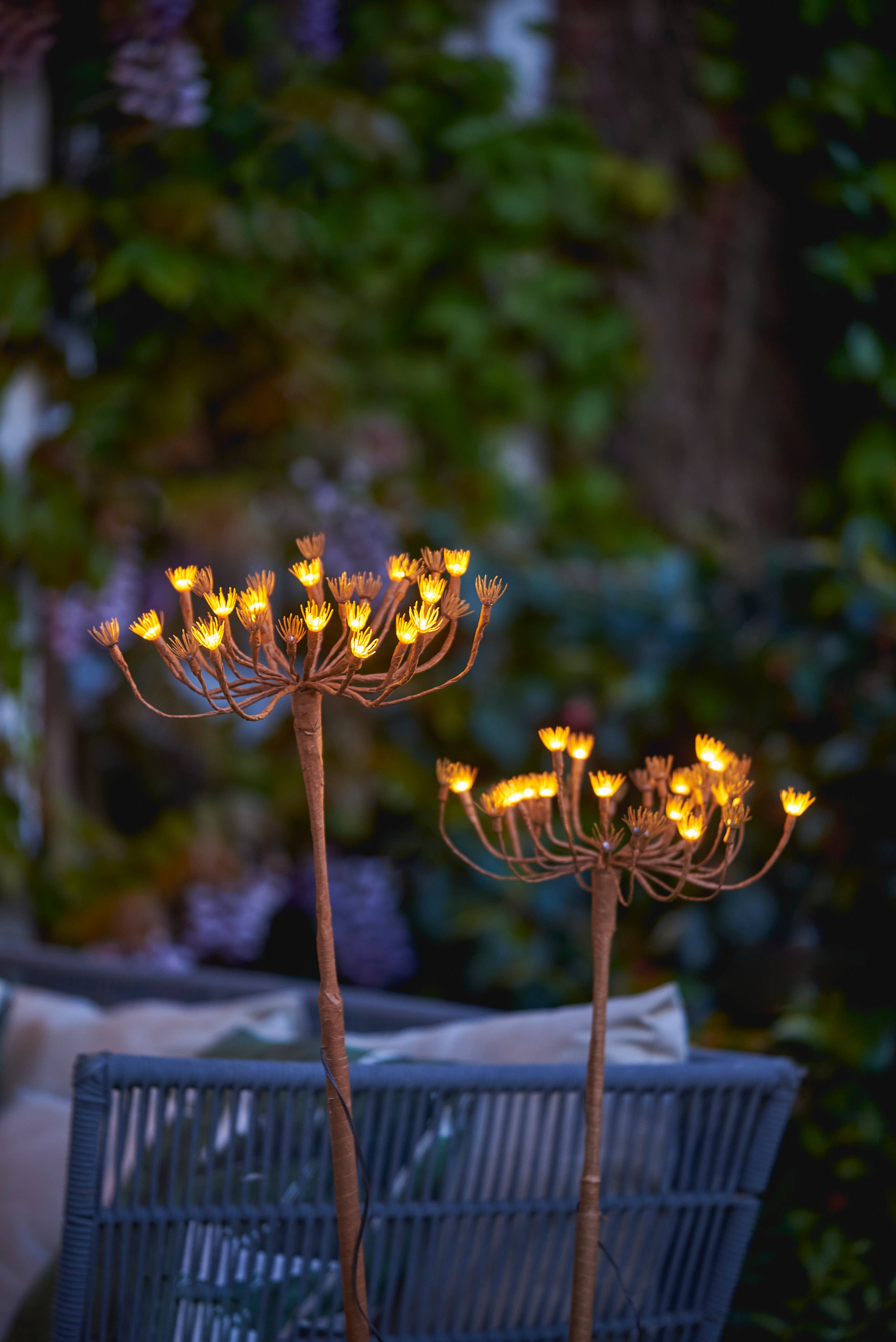 Lumina Of London Co - Wholesale Outdoor/Lawn Light - Solar Wild Fennel Garden Lights6
