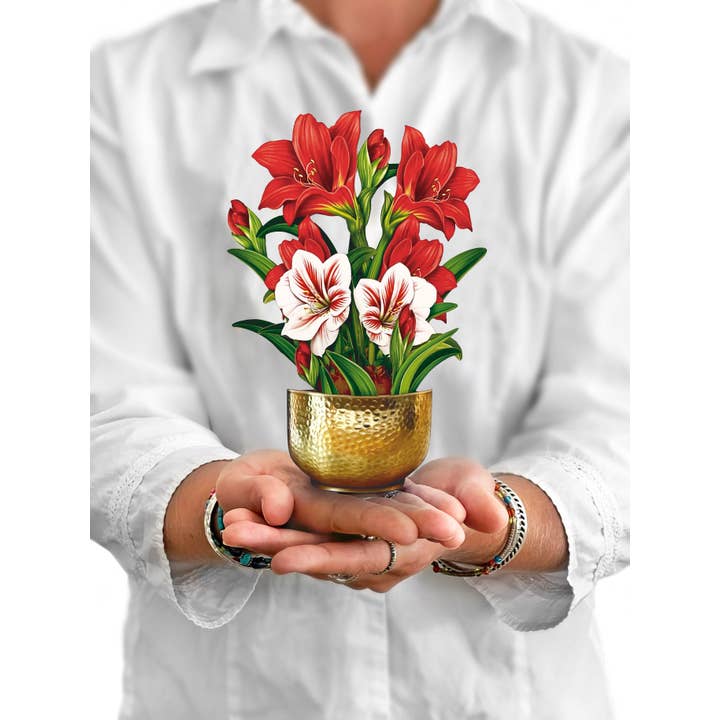 FreshCut Paper LLC - Wholesale Everyday Greeting Card - Mini Scarlett Amaryllis (10 Pop-up Greeting Cards)