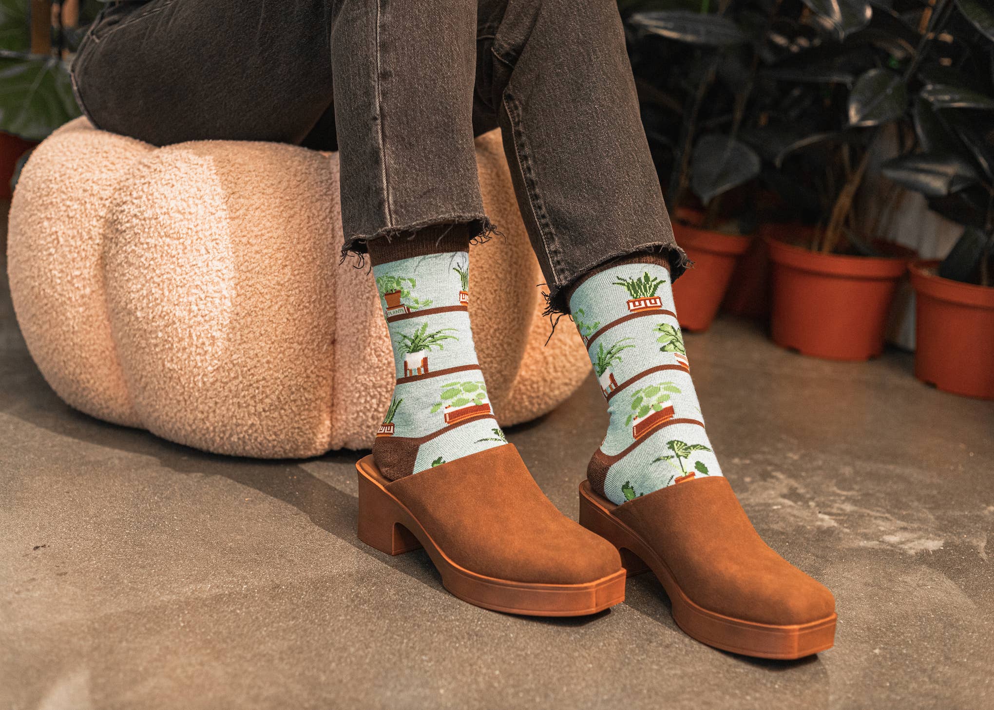 AZUL BAMBOO HOUSEPLANTS 6p for wholesale on Faire