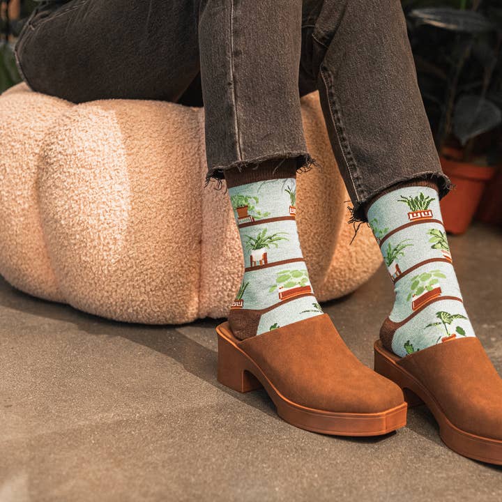 AZUL BAMBOO HOUSEPLANTS 6p for wholesale on Faire0