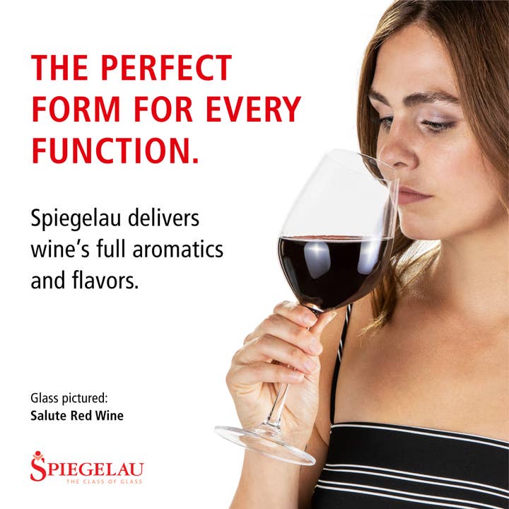 Spiegelau - Wholesale Wine Glass - Salute High Stemmed Crystal White Wine Glasses Set of 46