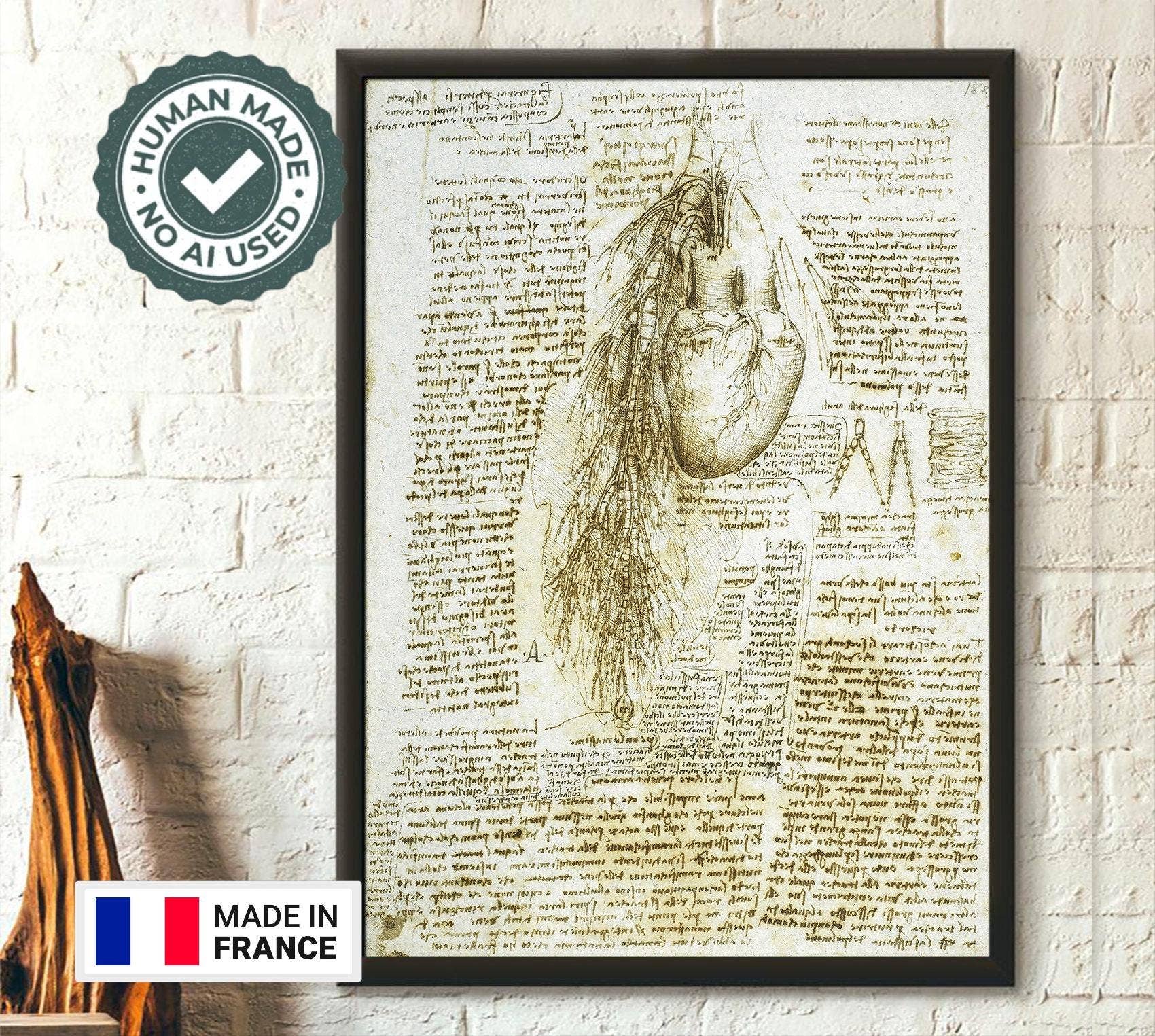 Vintage Wall Graphics – Engroshandel Plakat – Da Vinci Anatomi Medicinsk Kunst Menneskelig Anatomisk Da Vinci Hjerte0