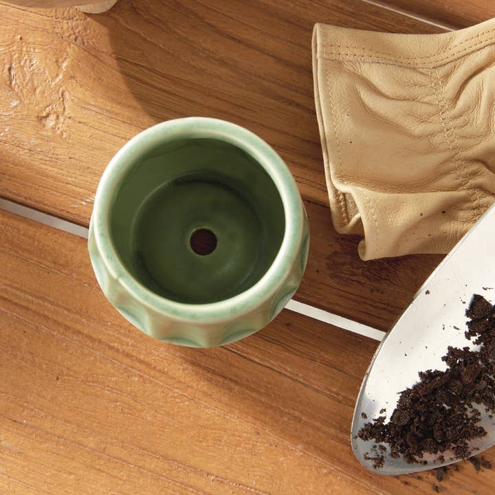 Napa Home & Garden - Wholesale Plant Pot - Dezie Mini Pots, Green5