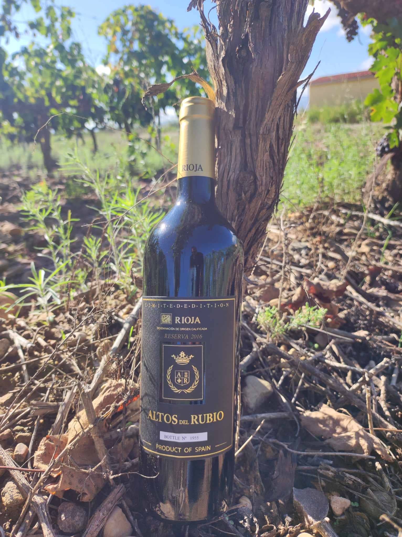 Viñedos y Bodegas Lyng - Wholesale Red Wine - D.O.Ca. Reserva red wine Rioja Altos del Rubio2