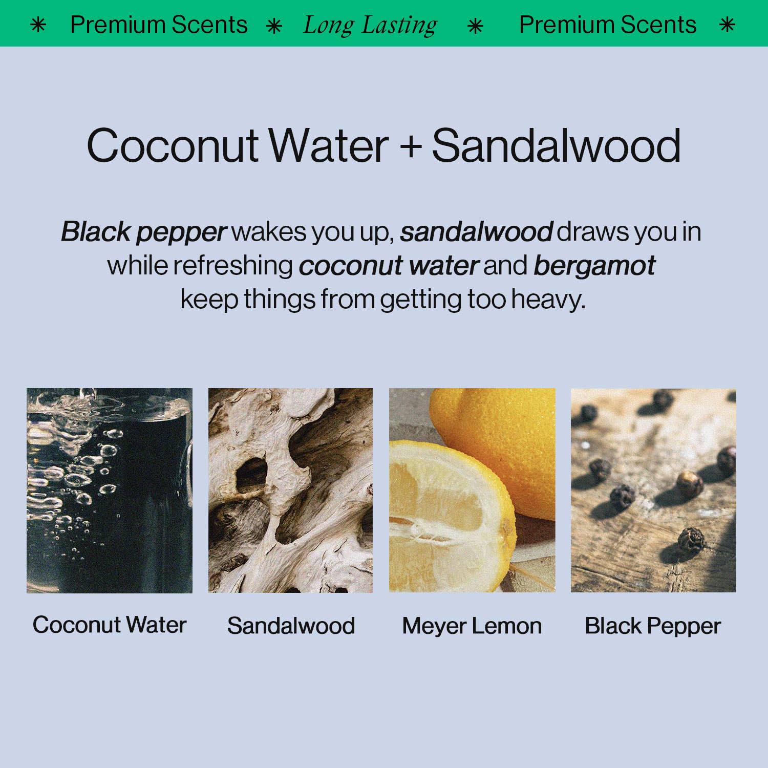 OffCourt - Wholesale Deodorant - Unisex - Performance Body Spray - Coconut Water + Sandalwood3