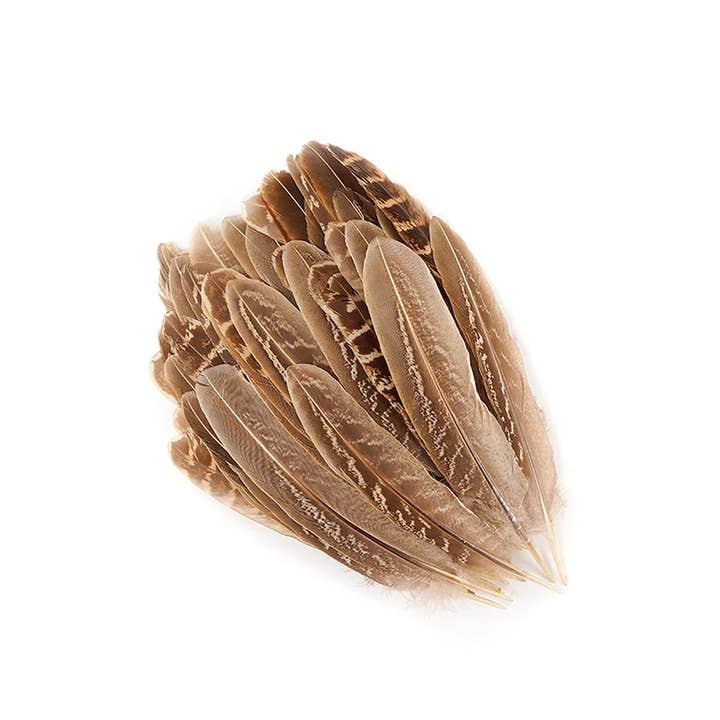 Zucker Feather Products - Wholesale Craft Supplies - Ringneck Feathers Pheasant Rounds - Natural