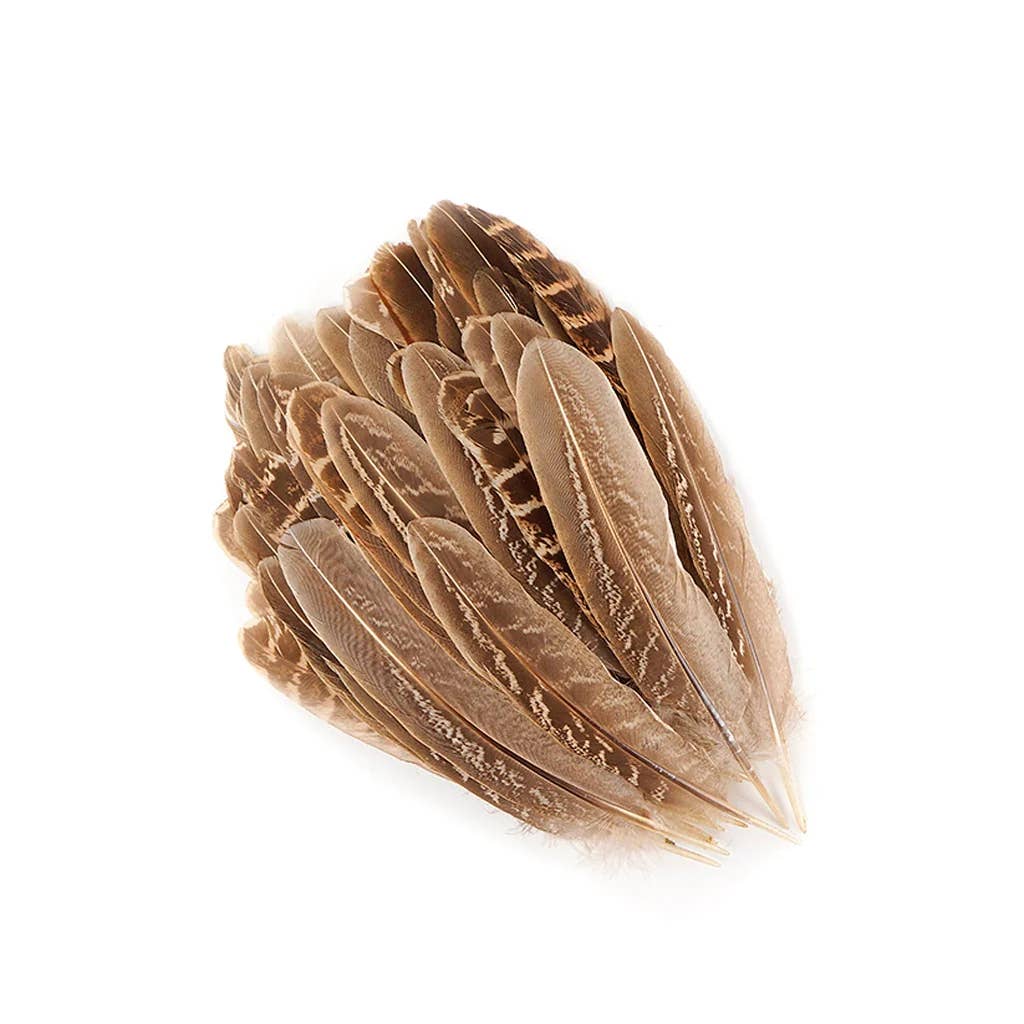 Zucker Feather Products – material para artesanato por atacado – Ringneck Penas Redondas de Faisão - Natural