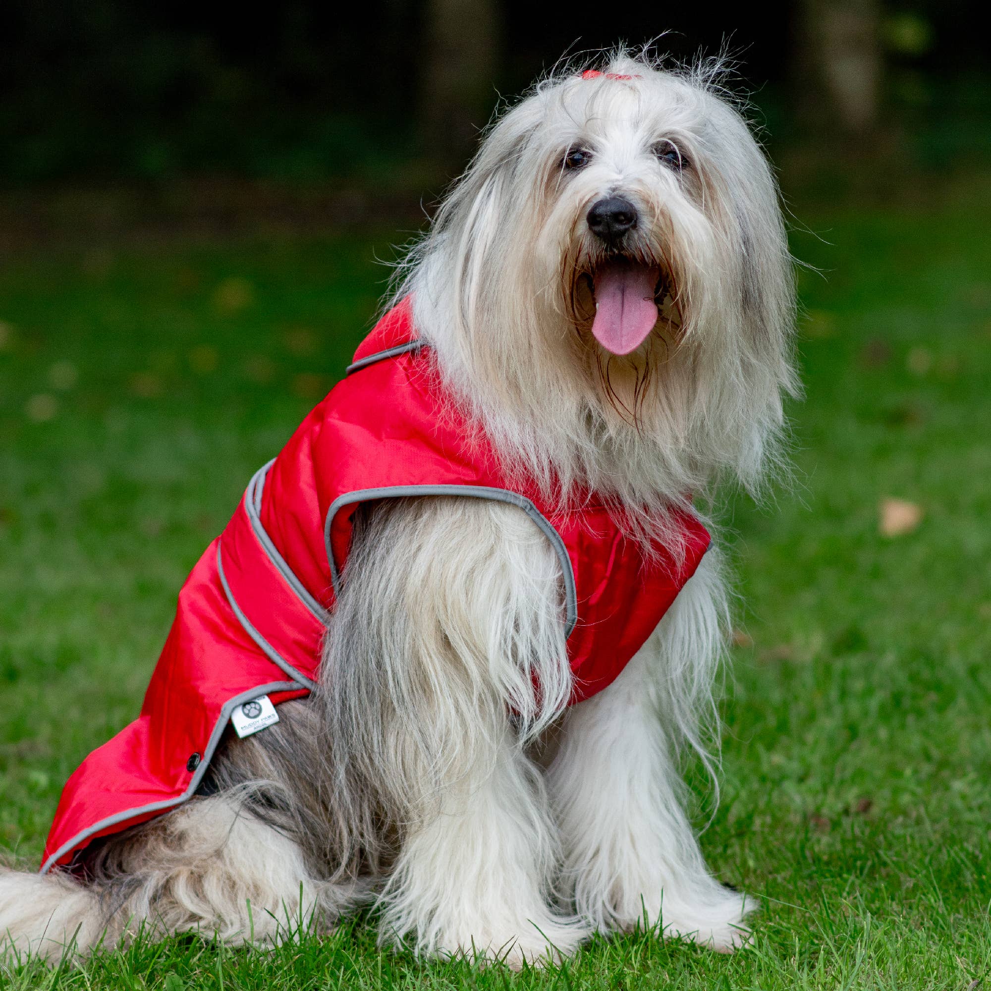 Ancol Pet Products Ltd - Wholesale Pet Coat - Dog - Stormguard All weather Coat : Poppy Red9