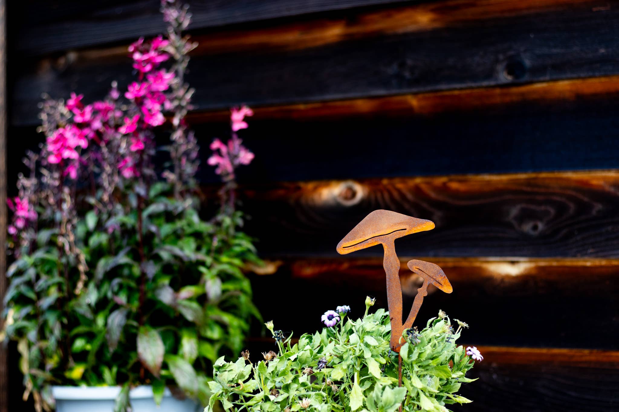 Elegant Garden Design - Vente Piquets de jardin/pelouse - Piques à champignons - Lot de cinq15