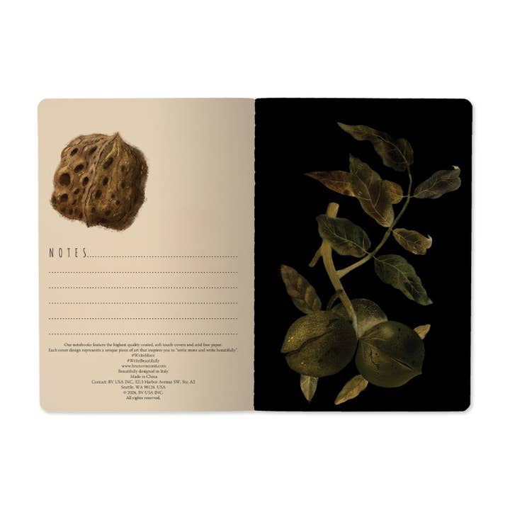BV by Bruno Visconti - Wholesale Notebook - Night GardenÂ