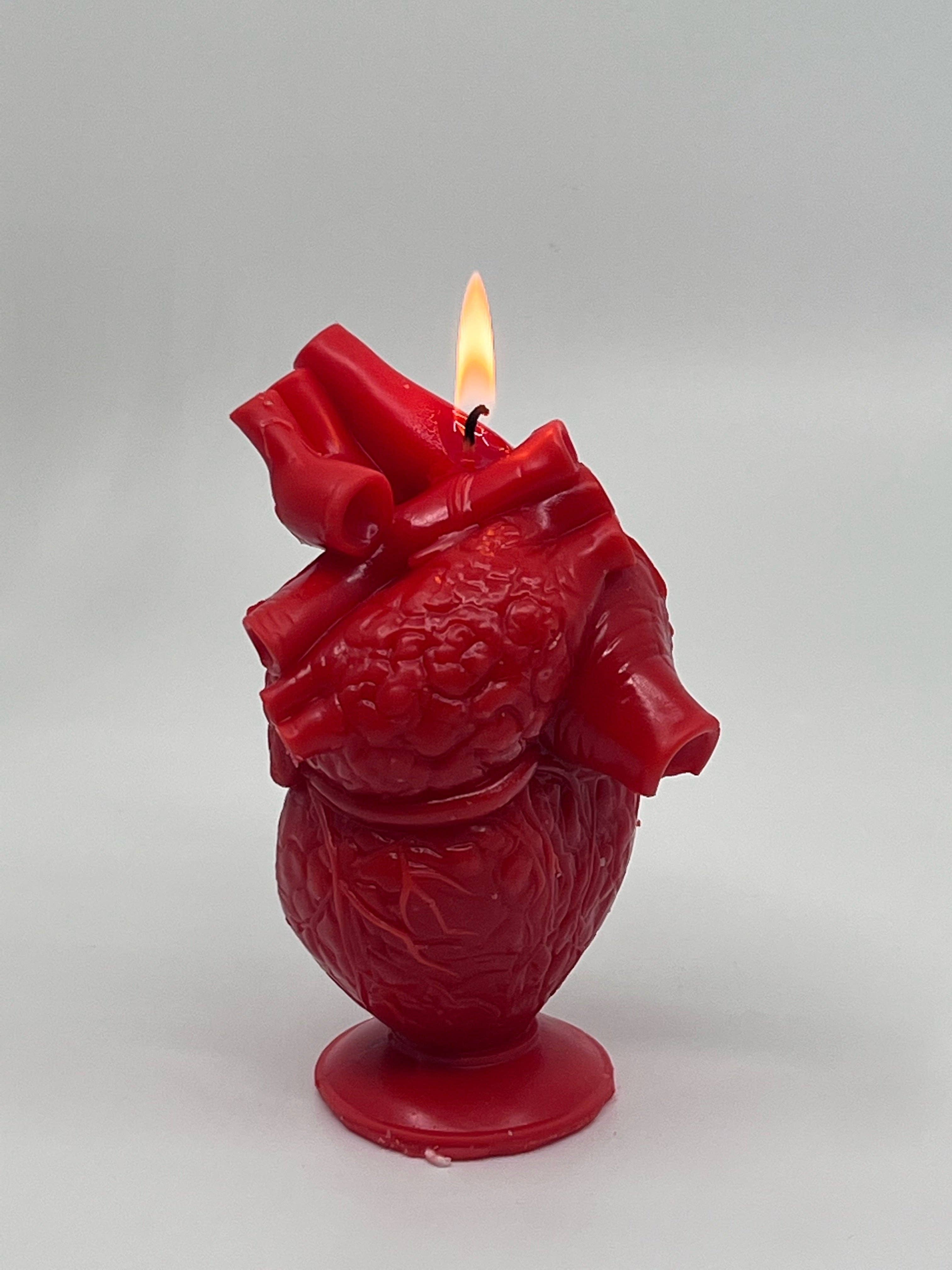Candle Lume – wholesale Novelty candle – Anatomical Heart Candle1