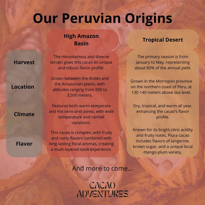 Cacao Adventures - Wholesale Baking Chocolate - High Amazon Basin Ceremonial-Grade Cacao – Raw Single-Origin8