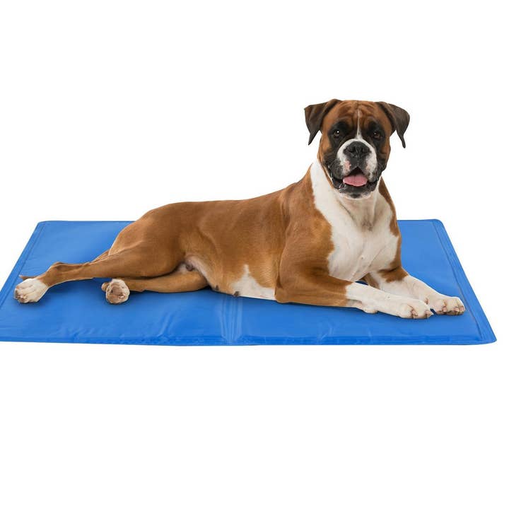 Produkte für Haustiere — Maxxpro Große blaue Kühlgelmatten für Haustiere, 50 x 65 und andere Ergebnisse für soda maxx im Großhandel. Kostenlose Rücksendungen und 60-Tage-Zahlungsziel auf Faire im Trend auf Faire.