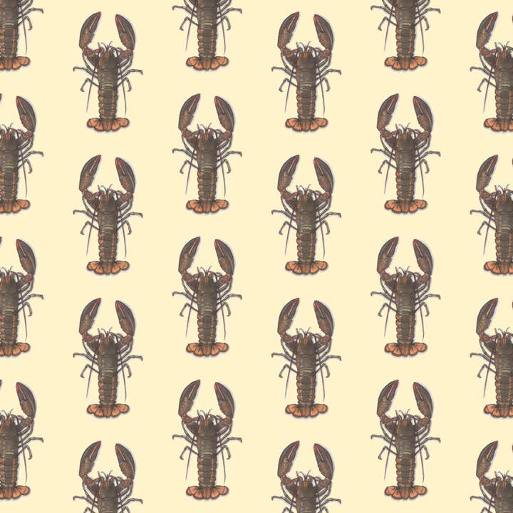 Embrulho Presente/Lagostas. Maine por atacado de Yeesan Loh