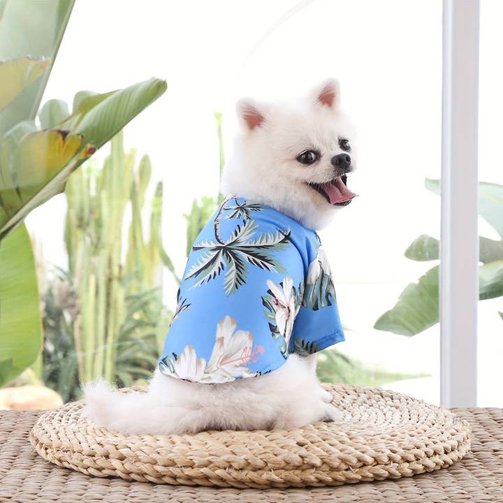 DIYSTORE – Großhandel Haustier-Shirt – Hund – Sommer-Hundeshirts für kleine Rassen - Leichte, atmungsaktive, gewebte Polyester-Haustierkleidung mit Druckknopfverschluss, UV-Schutz - Für Frühling, Sommer und Herbst - Für kleine Hunde - Perfekt für Outdoor-Aktivitäten - Ideales Geschenk für Hundeliebhaber