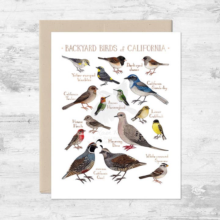 Backyard Birds of California Note Card for wholesale by Kate Dolamore Art