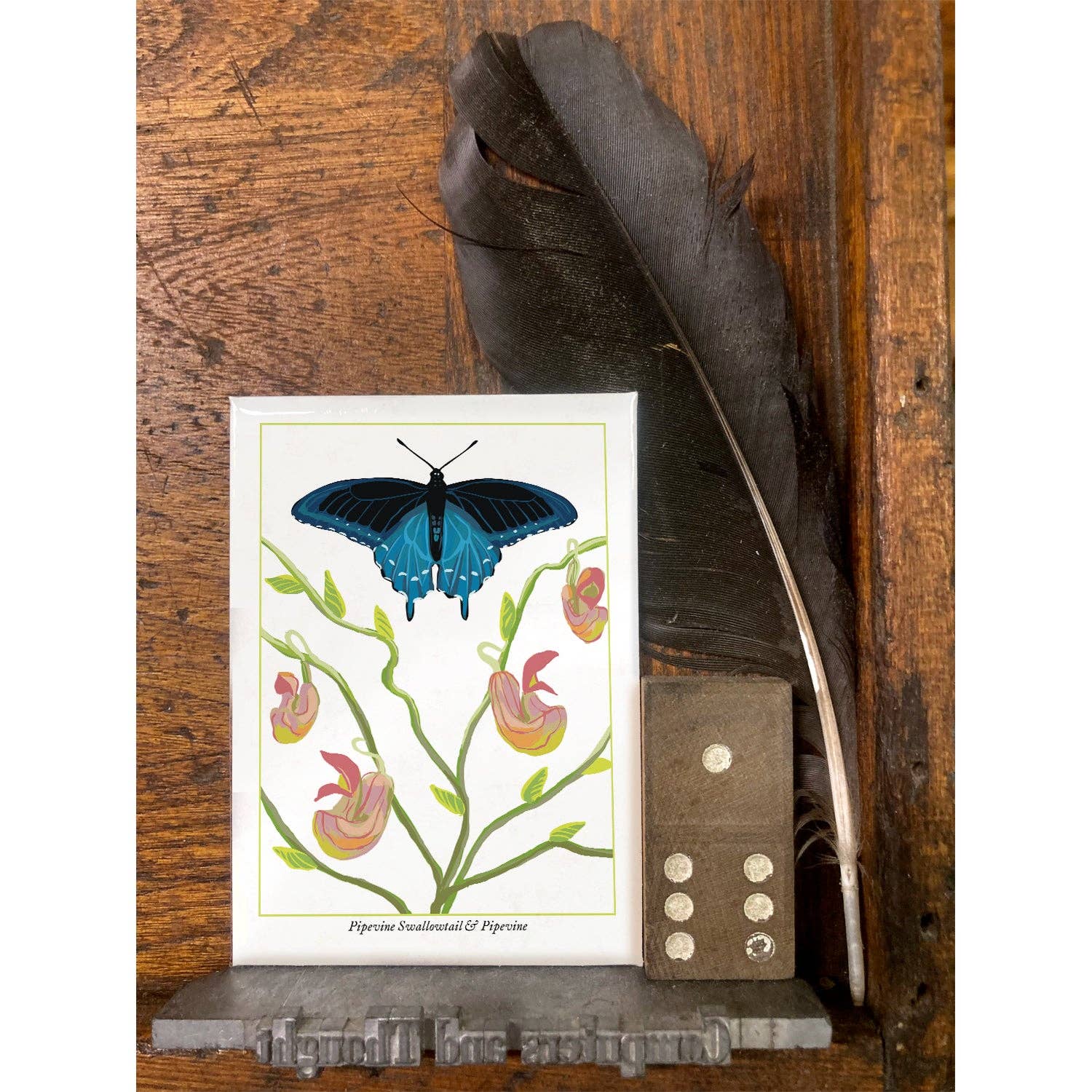 Rigel Paper – wholesale Magnet – RBU-735 Pipevine Swallowtail Butterfly Magnet1