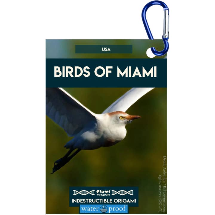 Vögel von Miami-Unzerstörbares Origami für den Großhandel von Flexi Field Guides