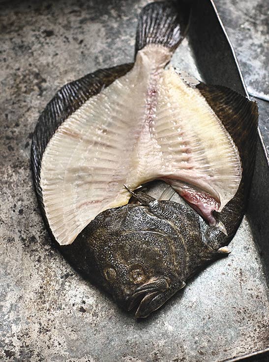 Clevo Books - Wholesale Cookbooks & Food - Mazel Tov5