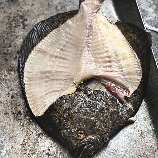 Clevo Books - Vente Cuisine et gastronomie - Mazel Tov5