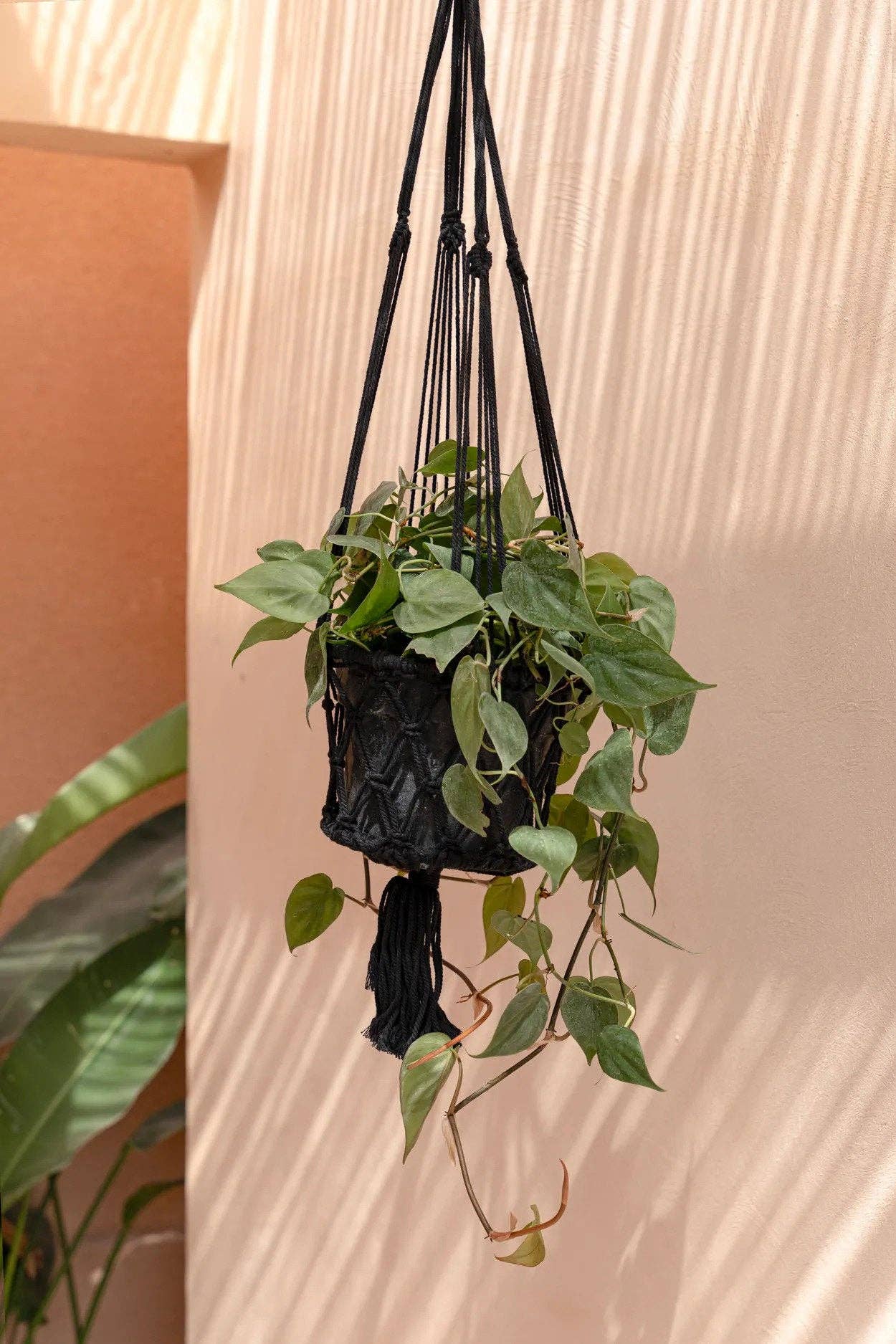 Bazar Bizar Living - Wholesale Hanging Planter - The Macrame Plant Holder - Black - M3
