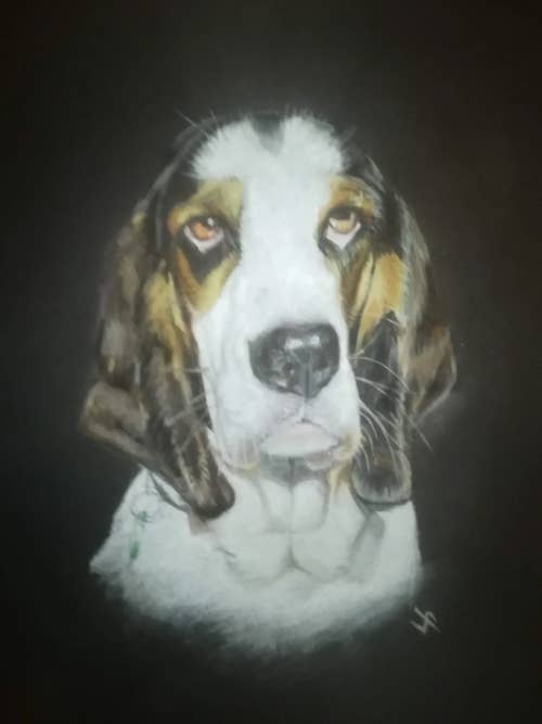 United Petdom Collection Duvet double for wholesale by J-Art