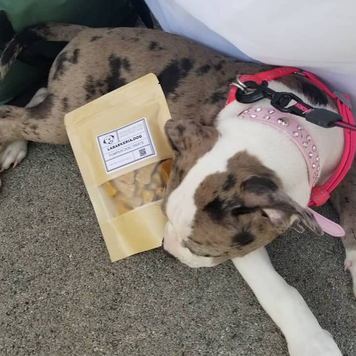 La Barkeria - Vendita all'ingrosso Snack - Cani - Dolcetti per cani alla zucca (biscotti completamente naturali)2