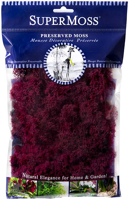 SuperMoss – Großhandel Pflanzen – SuperMoss Rentiermoos konserviert, 57 g Beutel4