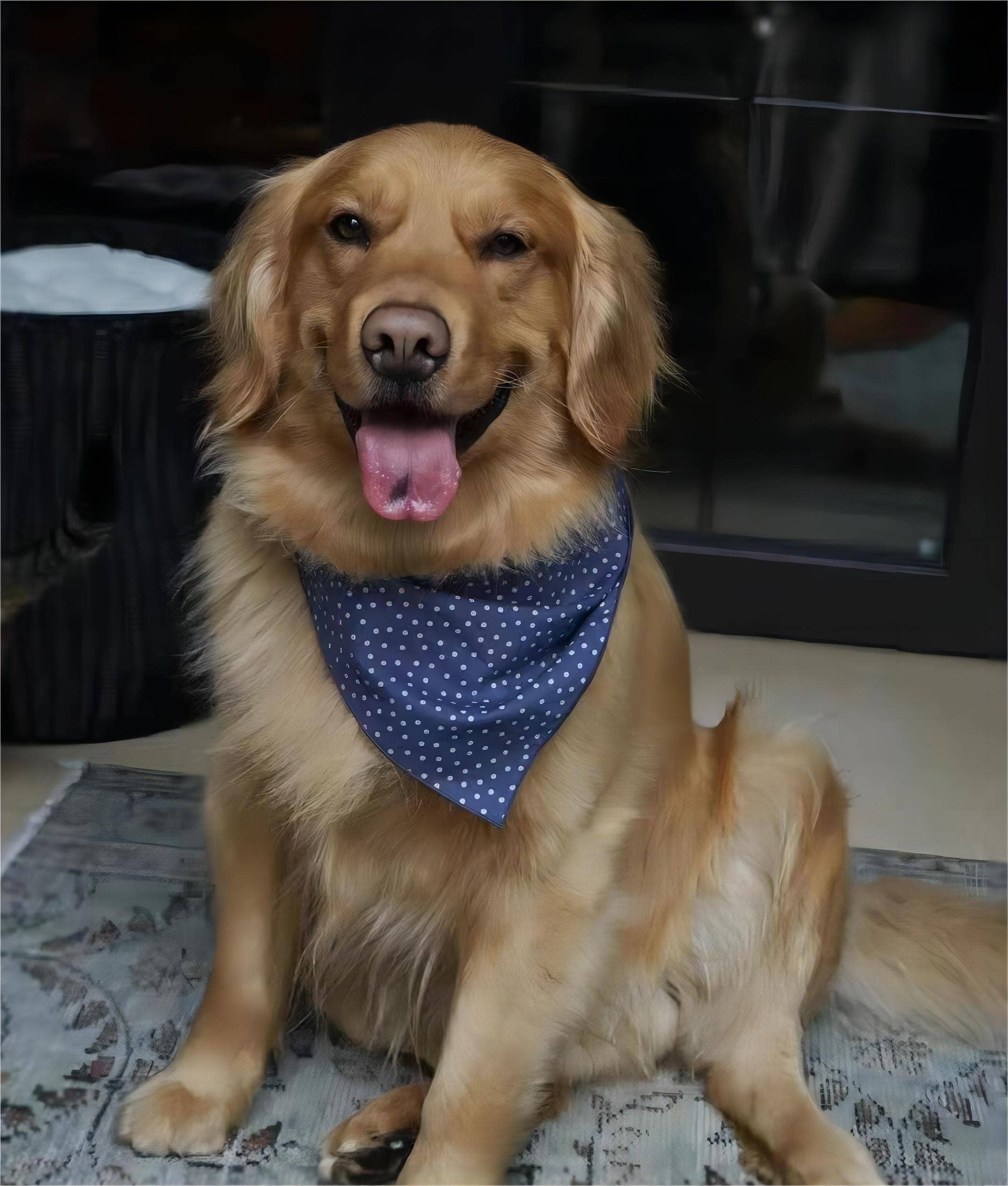 SueSilkHK – wholesale Bandana – Unisex – Personalised Set of 5 cotton square/Custom your own cotton bandana/Handmade gifts/Gifts for her/Father's Day gifts8